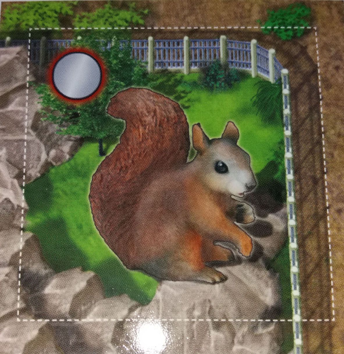 Zooloretto: Squirrel