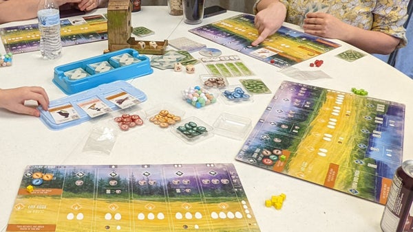 NCPC Board Gaming Group